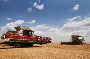 grande combinare mietitrici Lavorando nel agricolo campo a estate foto