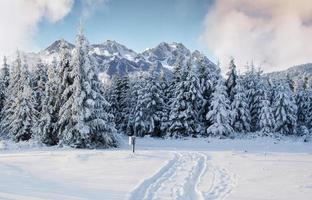 maestoso paesaggio con foresta a inverno volta. scenario sfondo foto