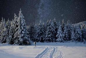 maestoso paesaggio con foresta a inverno notte tempo con stelle nel il cielo. scenario sfondo foto