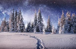 maestoso paesaggio con foresta a inverno volta. scenario sfondo foto