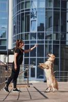 giovane positivo donna avere divertimento e fare trucchi con sua cane quando avere un' camminare all'aperto vicino attività commerciale edificio foto