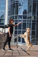 giovane positivo donna avere divertimento e fare trucchi con sua cane quando avere un' camminare all'aperto vicino attività commerciale edificio foto