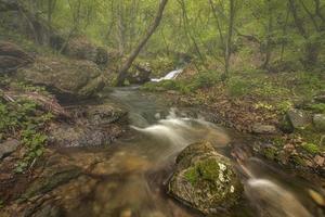 bellissimo autunno paesaggio con montagna fiume a nebbia foresta foto