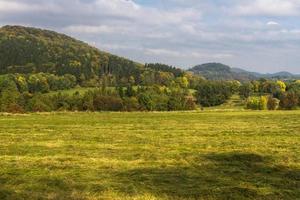 autunno paesaggio con giallo le foglie su un' soleggiato giorno foto