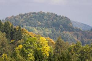 autunno paesaggio con giallo le foglie su un' soleggiato giorno foto