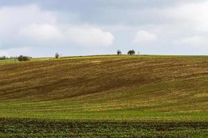 autunno paesaggio nel un' moravia i campi foto