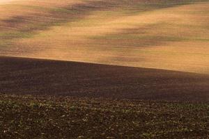 autunno paesaggio nel un' moravia i campi foto