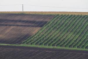 autunno paesaggio nel un' moravia i campi foto