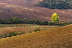 autunno paesaggio nel un' moravia i campi foto