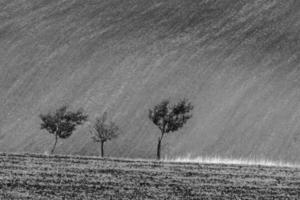 autunno paesaggio nel un' moravia i campi foto