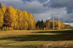 autunno paesaggio con giallo le foglie su un' soleggiato giorno foto