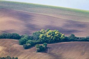 autunno paesaggio nel un' moravia i campi foto