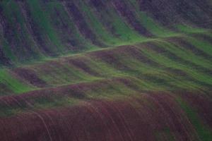 autunno paesaggio nel un' moravia i campi foto