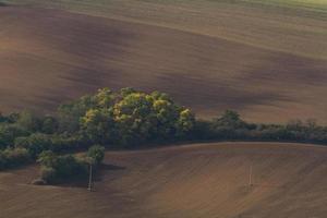 autunno paesaggio nel un' moravia i campi foto