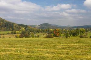 autunno paesaggio con giallo le foglie su un' soleggiato giorno foto