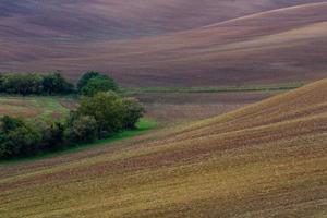 autunno paesaggio nel un' moravia i campi foto