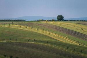 autunno paesaggio nel un' moravia i campi foto