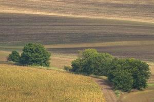 autunno paesaggio nel un' moravia i campi foto