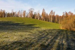 autunno paesaggio con giallo le foglie su un' soleggiato giorno foto