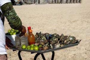 uomo preparazione fresco Ostriche nel Messico spiaggia foto