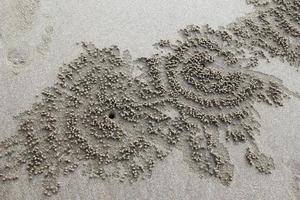 viaggio per isola KOH lanta, Tailandia. il tracce di il Granchi su il sabbia spiaggia. foto