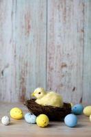 Pasqua saluto carta nel bianco, giallo amd blu colore con pollo nel il nido circondato con colorato uova.verticale carta. foto