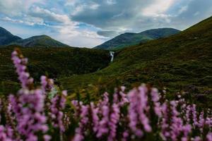 eas un' bradain cascata foto