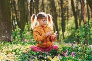 contento poco ragazza nel casuale Abiti seduta nel primavera foresta a giorno foto