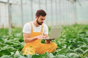 giovane serra lavoratore nel giallo uniforme con il computer portatile nel mani avere lavoro dentro di serra foto