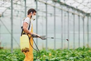 giovane serra lavoratore nel giallo uniforme e bianca protettivo maschera irrigazione impianti di utilizzando speciale attrezzatura dentro di serra foto