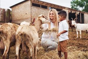 donna e poco africano americano ragazzo è su il azienda agricola con capre foto