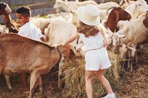 carino poco africano americano ragazzo con europeo ragazza è su il azienda agricola con capre foto