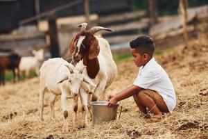 caldo tempo atmosferico. carino poco africano americano ragazzo è su il azienda agricola a estate con capre foto