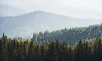 maestoso carpazi montagne. bellissimo paesaggio di intatto natura foto