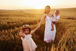 allegro famiglia di madre, poco figlio e figlia la spesa gratuito tempo su il campo a soleggiato giorno tempo di estate foto