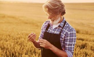 assunzione un' camminare. anziano elegante uomo con grigio capelli e barba su il agricolo campo con raccogliere foto