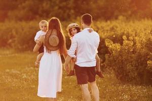 illuminato bu luce del sole. famiglia di quattro persone la spesa gratuito tempo su il campo a giorno tempo di estate foto