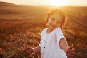 ritratto di allegro poco ragazza quello in piedi su il agricolo campo. bellissimo luce del sole dietro a foto