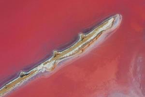 sorprendente viola acqua. aereo Visualizza di jarilgach isola nel Ucraina. maestoso paesaggi foto