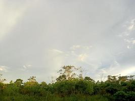 bellissimo naturale scenario nel il blu cielo, bianca nuvole e molti verde alberi in giro esso foto