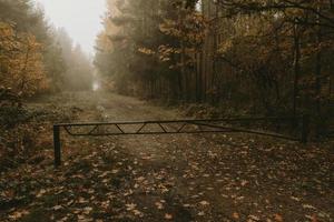 vecchio arrugginito chiuso metallo barriera al di sopra di un' foresta sentiero con nebbioso autunno mattina foresta nel il sfondo foto