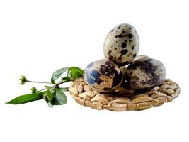Quaglia uova a partire dal Quaglia, un' collezione di Quaglia uova su un' di legno piatto con isolato bianca sfondo foto