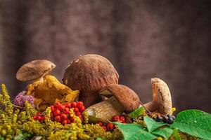 un' bellissimo natura morta a partire dal naturale grande bianca funghi, arancia le foglie foto