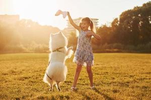 estate tempo libero attività. poco ragazza con sua cane è avendo divertimento su il campo a soleggiato giorno foto