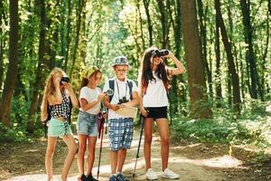 fine settimana attività. bambini passeggiando nel il foresta con viaggio attrezzatura foto