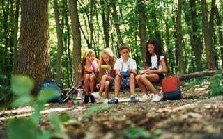 seduta e avendo un' riposo. bambini passeggiando nel il foresta con viaggio attrezzatura foto