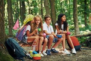 seduta nel il campo. bambini passeggiando nel il foresta con viaggio attrezzatura foto