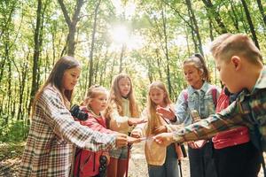 utilizzando carta geografica. bambini nel verde foresta a estate giorno insieme foto