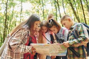 davanti Visualizza. bambini nel verde foresta a estate giorno insieme foto