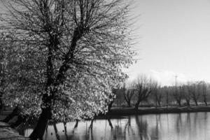 autunno tempo a un' Tedesco castello foto